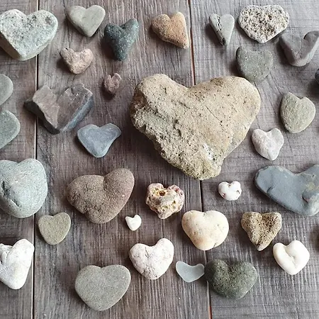 Apartamento Live...laugh...love